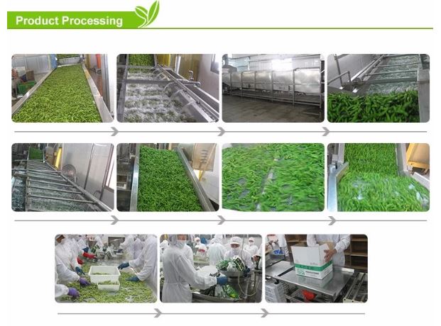 product-1-1 image