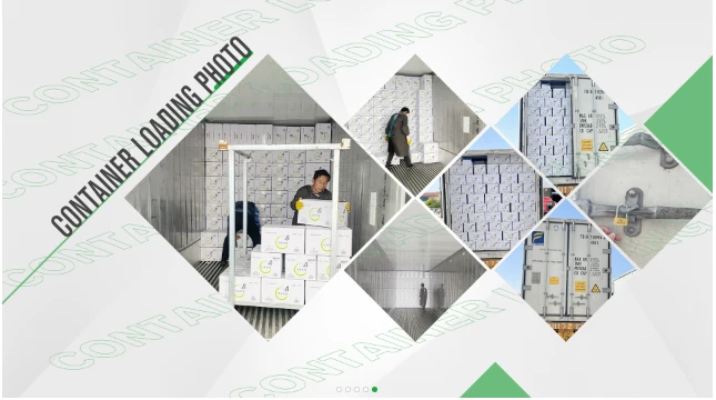IQF Cauliflower Rice Logistics Support IQF cauliflower rice cold chain logistics and shipment support
