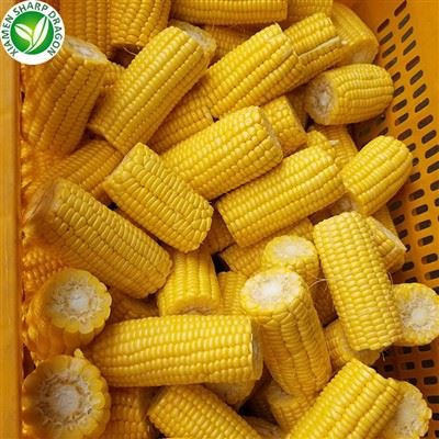 Увозници кукуруза