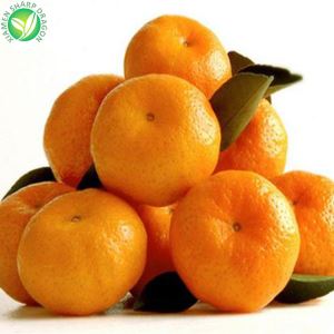 Фресх Мандарински наранџе