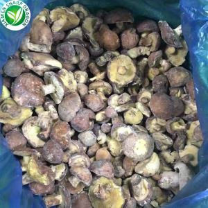 Суиллус Гранулатус Кување