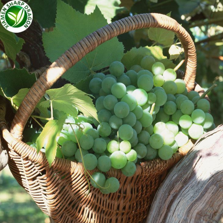 2020 Grape Prices