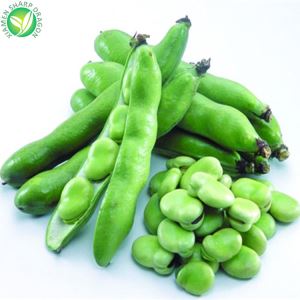 Iqf Fava Beans