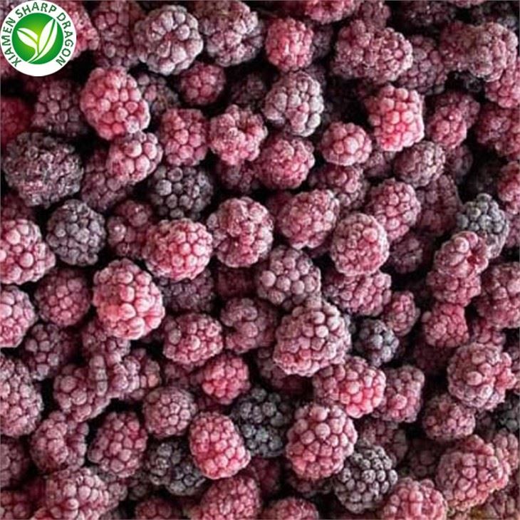 Freezing Blackberries