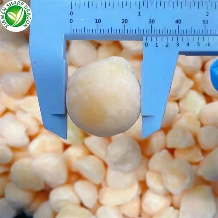 melon balls frozen