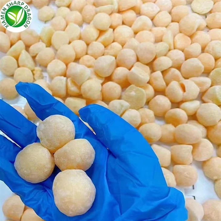 frozen cantaloupe balls